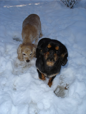 Shelly and Tommy in the snow